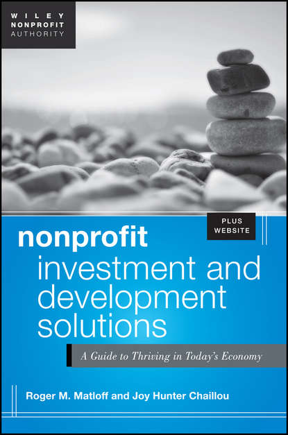 Скачать книгу Nonprofit Investment and Development Solutions