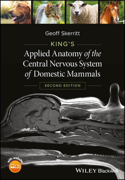 Скачать книгу King's Applied Anatomy of the Central Nervous System of Domestic Mammals