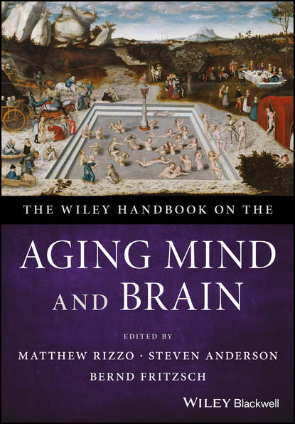 Скачать книгу The Wiley Handbook on the Aging Mind and Brain