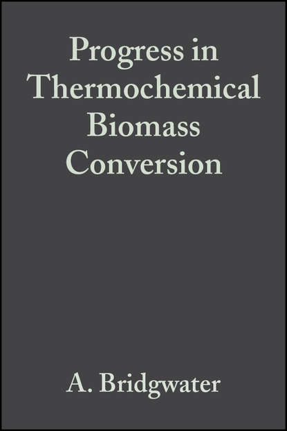 Скачать книгу Progress in Thermochemical Biomass Conversion