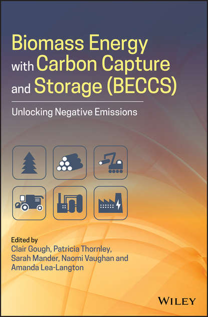 Скачать книгу Biomass Energy with Carbon Capture and Storage (BECCS)