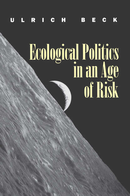 Скачать книгу Ecological Politics in an Age of Risk