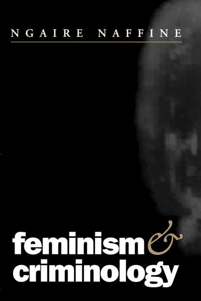 Скачать книгу Feminism and Criminology