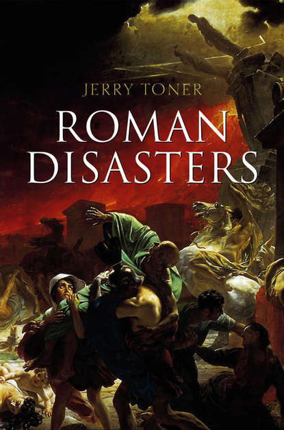 Скачать книгу Roman Disasters