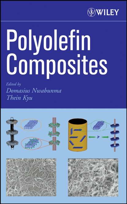 Скачать книгу Polyolefin Composites