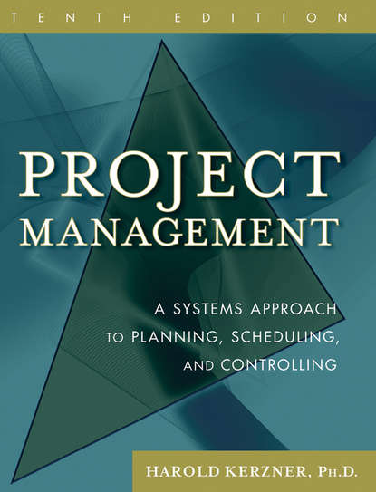 Скачать книгу Project Management