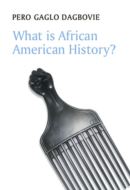 Скачать книгу What is African American History?