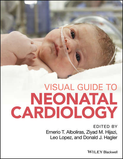 Скачать книгу Visual Guide to Neonatal Cardiology