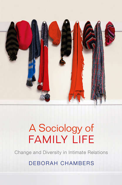 Скачать книгу A Sociology of Family Life