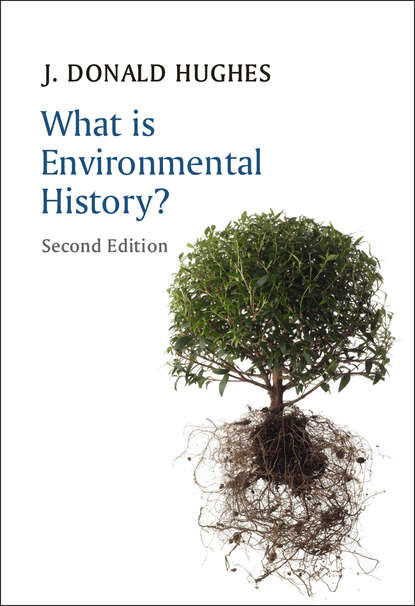 Скачать книгу What is Environmental History?