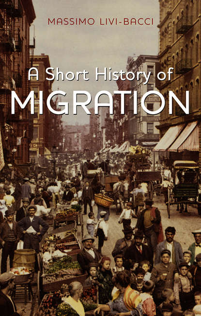 Скачать книгу A Short History of Migration