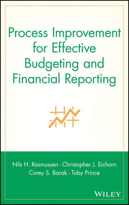 Скачать книгу Process Improvement for Effective Budgeting and Financial Reporting