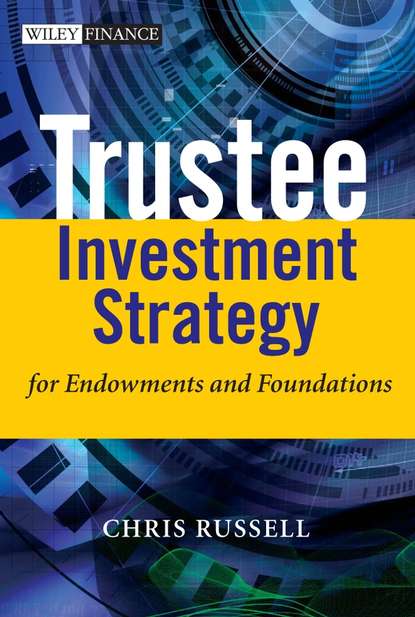 Скачать книгу Trustee Investment Strategy for Endowments and Foundations