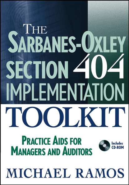 Скачать книгу The Sarbanes-Oxley Section 404 Implementation Toolkit