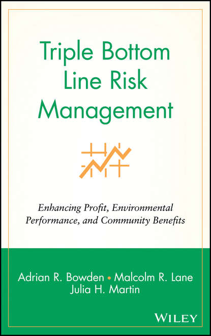 Скачать книгу Triple Bottom Line Risk Management