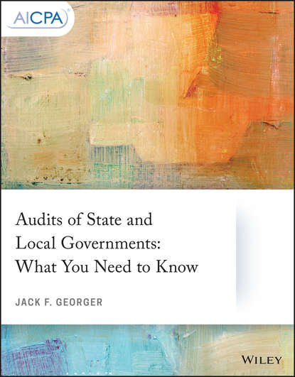 Скачать книгу Audits of State and Local Governments