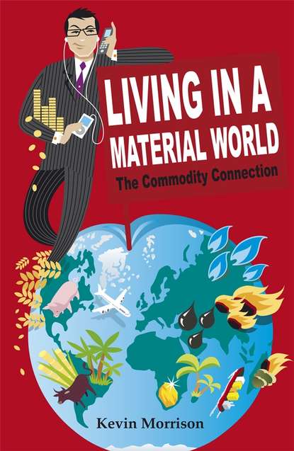 Скачать книгу Living in a Material World