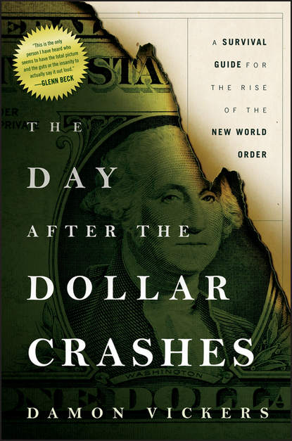 Скачать книгу The Day After the Dollar Crashes