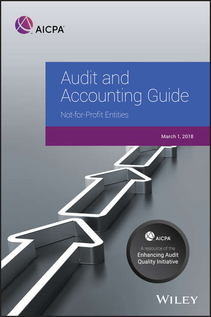 Скачать книгу Auditing and Accounting Guide