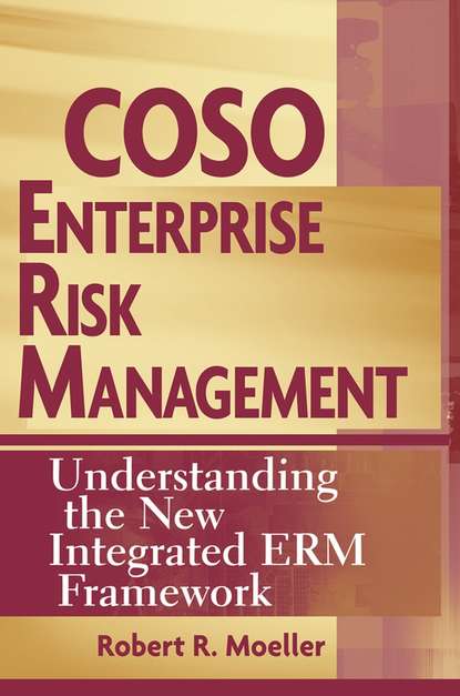 Скачать книгу COSO Enterprise Risk Management