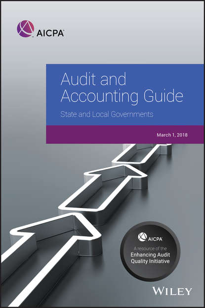 Скачать книгу Audit and Accounting Guide