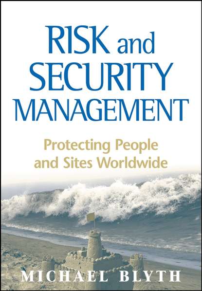 Скачать книгу Risk and Security Management