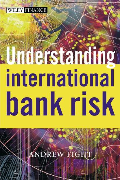 Скачать книгу Understanding International Bank Risk