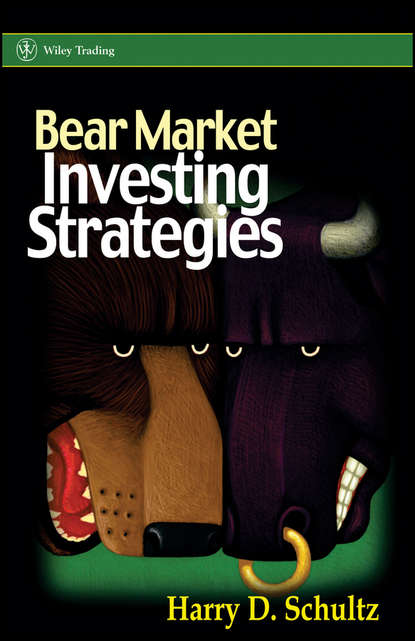 Скачать книгу Bear Market Investing Strategies