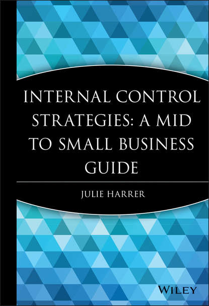 Скачать книгу Internal Control Strategies