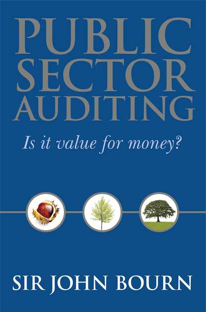 Скачать книгу Public Sector Auditing