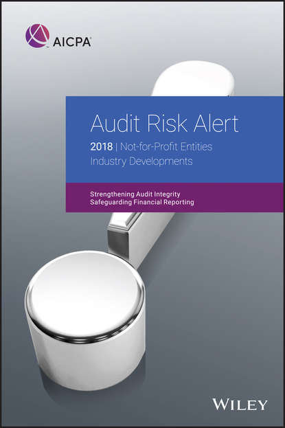 Скачать книгу Audit Risk Alert