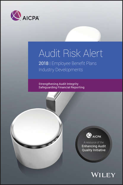 Скачать книгу Audit Risk Alert