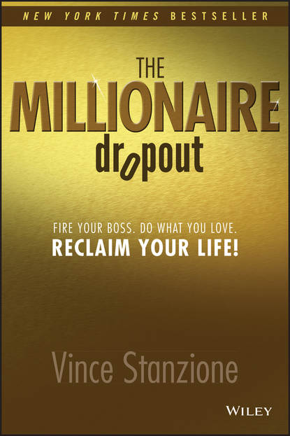 Скачать книгу The Millionaire Dropout