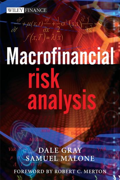 Скачать книгу Macrofinancial Risk Analysis