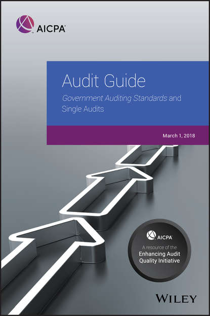 Скачать книгу Audit Guide