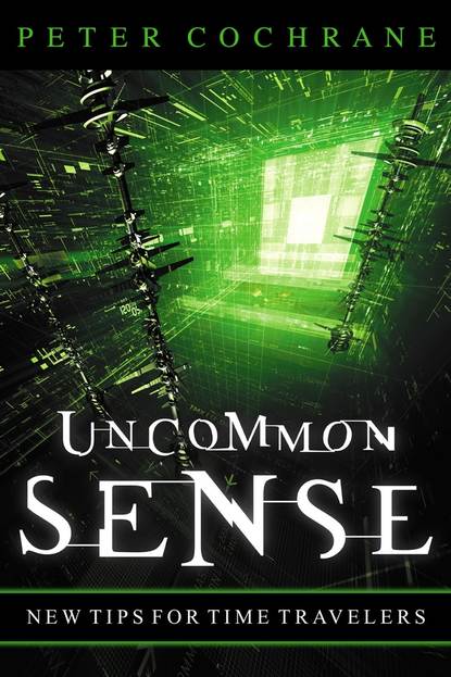 Скачать книгу Uncommon Sense