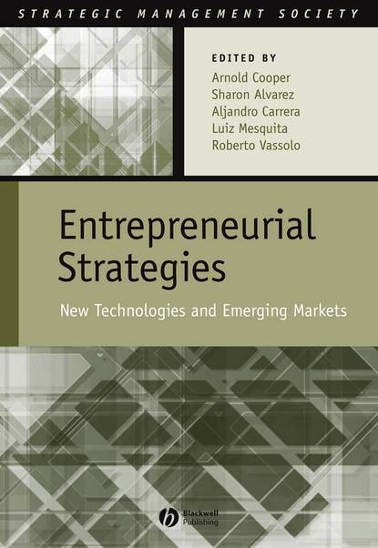 Скачать книгу Entrepreneurial Strategies
