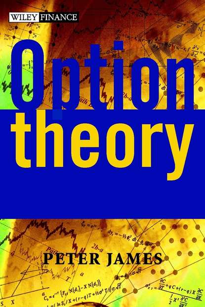 Скачать книгу Option Theory