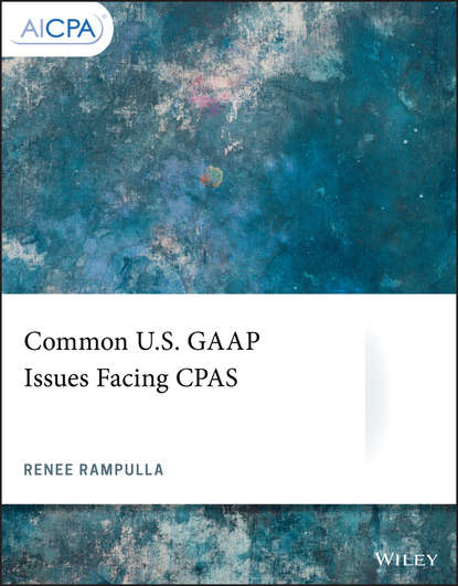 Скачать книгу Common U.S. GAAP Issues Facing CPAS