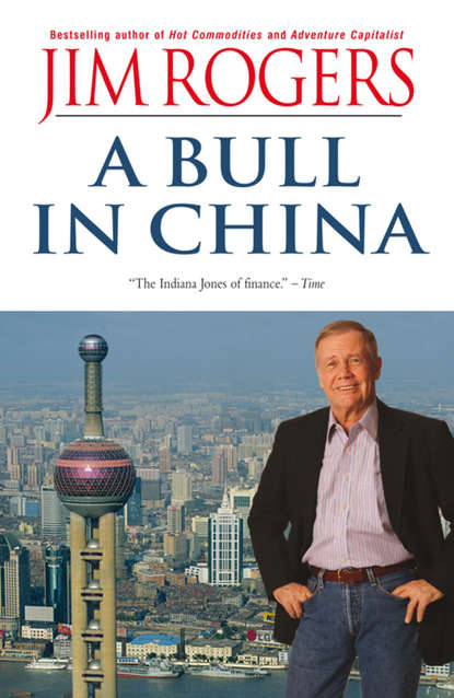 Скачать книгу A Bull in China