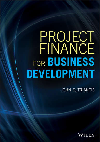 Скачать книгу Project Finance for Business Development