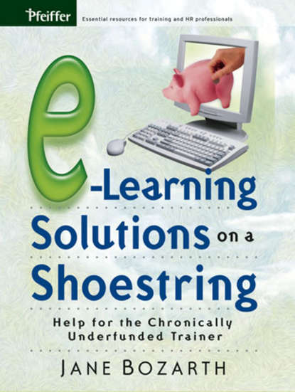 Скачать книгу E-Learning Solutions on a Shoestring