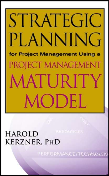 Скачать книгу Strategic Planning for Project Management Using a Project Management Maturity Model