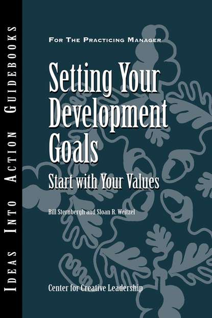 Скачать книгу Setting Your Development Goals