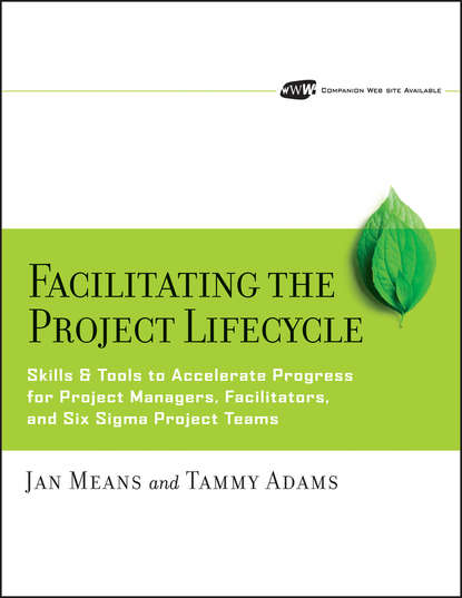 Скачать книгу Facilitating the Project Lifecycle
