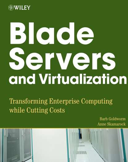 Скачать книгу Blade Servers and Virtualization