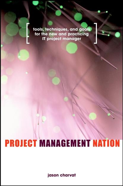 Скачать книгу Project Management Nation