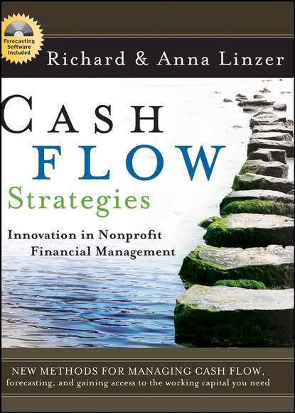 Скачать книгу Cash Flow Strategies