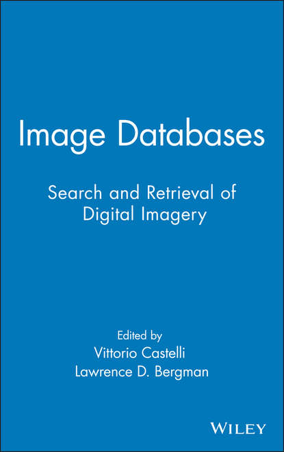 Скачать книгу Image Databases