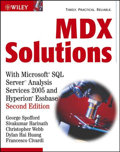 Скачать книгу MDX Solutions